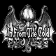 In from the cold