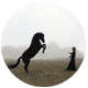 Thinloth